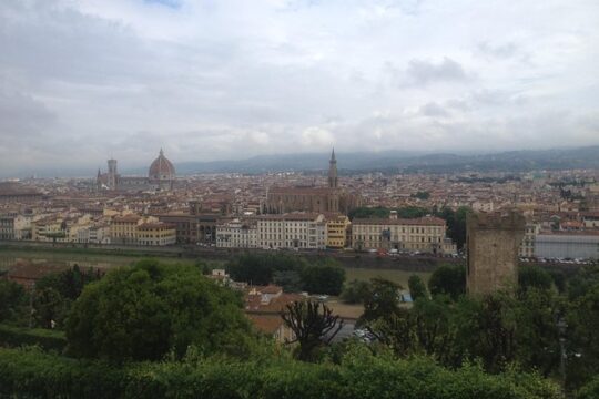 Pisa & Florence highlights shore excursion from Livorno port