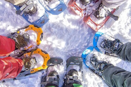 Snowshoeing tour with Wild Lunch