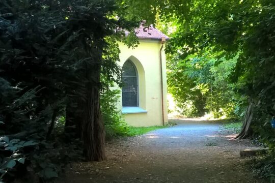 Konstanz Private guided tour The mystical Constance
