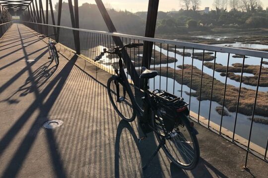 Maritime Museum and Codfish Aquarium by Bike