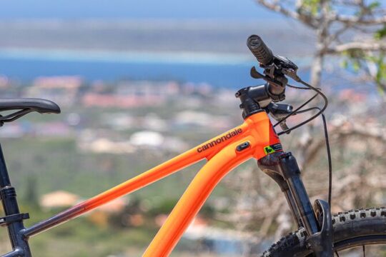 Mountainbike rental 1 week