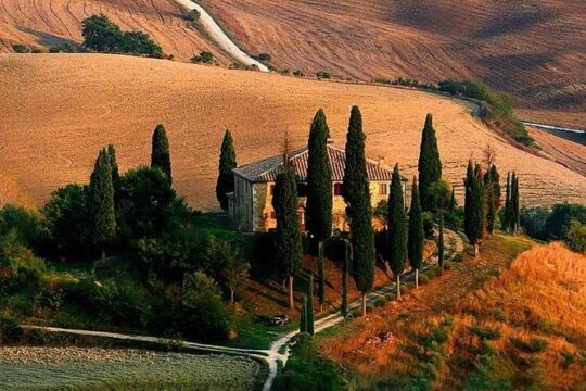 Transfer from Pisa airport to Florence or from Florence to Pisa