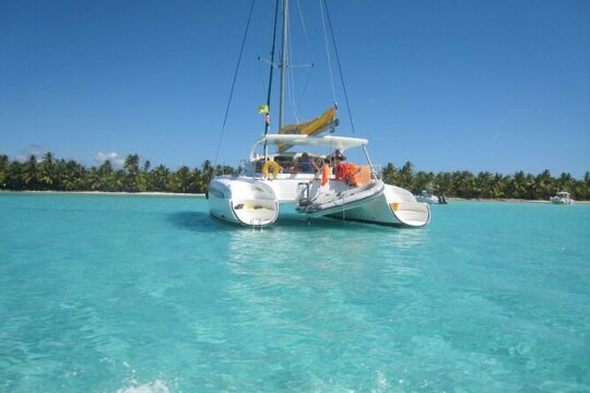 Saône Island in Catamaran and speedboat private beach