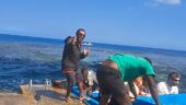 Island paradise