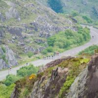 Self-guided Tours & Rentals