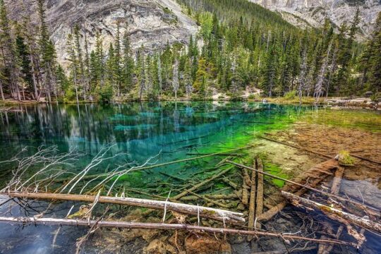 Winter Tour Grassi Lake and Grotto Canyon Icewalk from Calgary