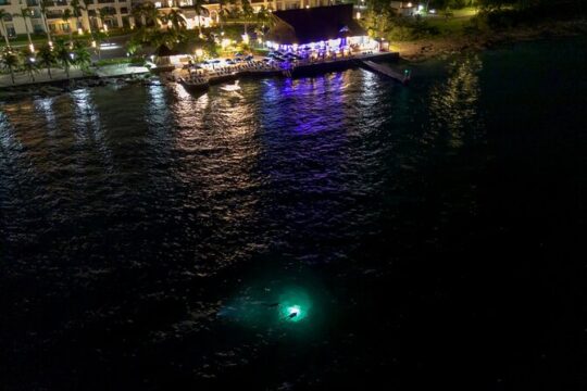 Under the Stars Twilight Snorkel and Seaside Dinner at Money Bar