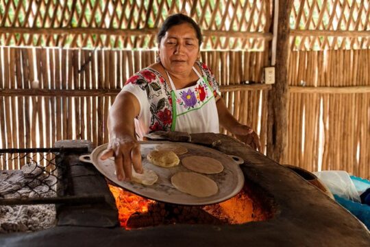 Chacchoben Mayan City and Mayan Experience Combo Tour