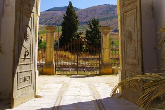 Private Tasting of Extra Virgin Olive Oil in Sicily