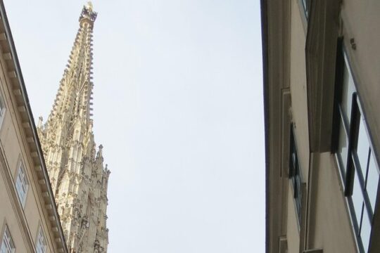 St. Stephen's cathedral - old symbol newly discovered