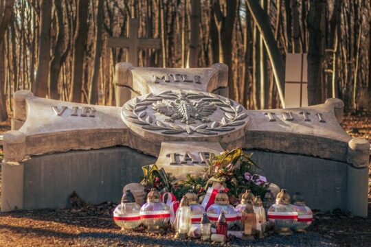 Gdansk: Private Westerplatte Tour by Cruise