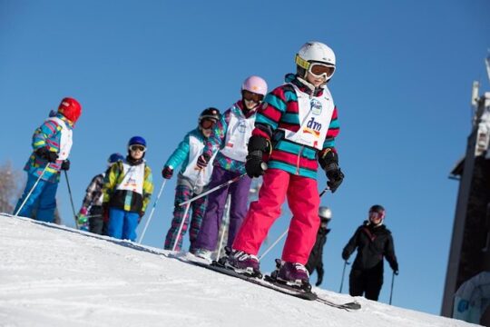 Vogel Ski Center: Full Day Skiing with Instructor