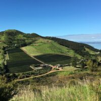 Private & Custom Tours