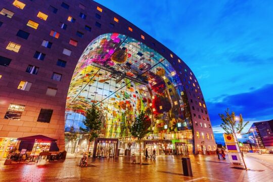 Private Day Tour: Rotterdam and The Hague. English or Spanish