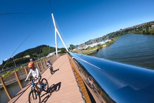 Non-Electric Bike Rental