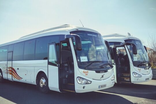 Terceira Island Bus Transfer