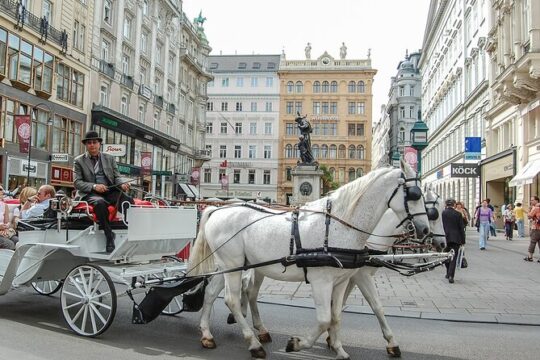 Private Tour of Vienna - Sightseeing, Food & Culture with a local