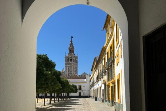 Cathedral Tour of Seville Giralda and Barrio Santa Cruz All in One