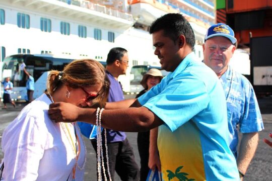 Private Transfer: Nadi Airport to Sonaisali - 1 to 4 Seat Vehicle