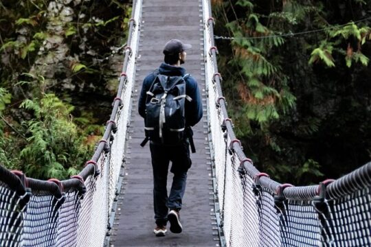 Private Guided Rainforest Suspension Bridge Hike