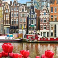 Airport & Ground Transfers
