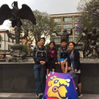 Layover Tours