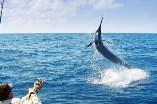 Deep Sea Fishing Ocho Rios