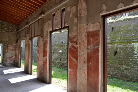 Tour in the villa of Poppea with an archaeologist