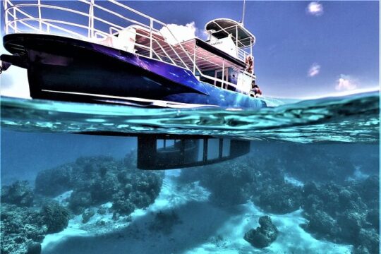 Private Underwater Excursion in the Bora Bora Lagoon