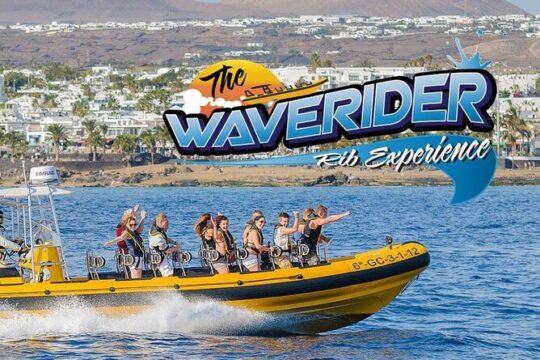 Dolphin Watching and Bathing in Papagayo Lanzarote Beach