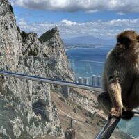 Private & Custom Tours