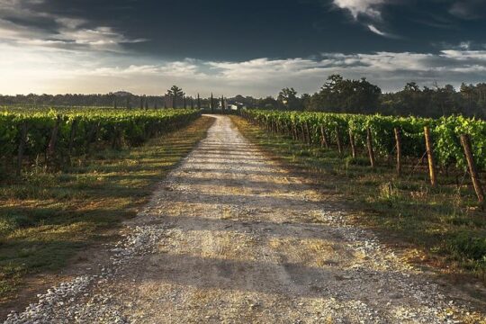 Private Winery Tour of Niagara-on-the-Lake