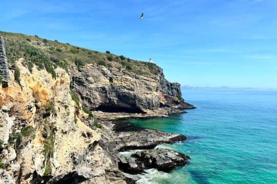 Private Dunedin & Peninsula Scenery/ Wildlife Day Tour(up to 9P)