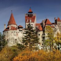 Tours & Sightseeing
