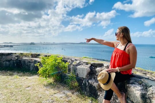 Economic Tour: This is a three hour Sightseeing Tour.