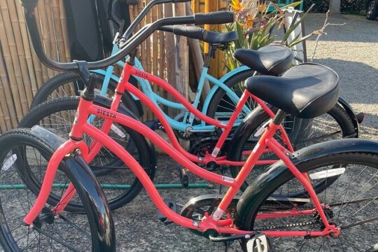 Beach Cruiser Bike Rental All Day