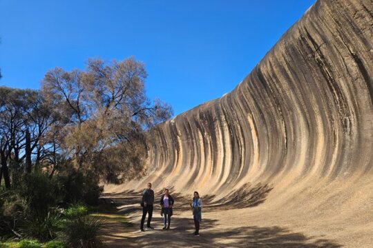 Day Tour in Wave Rock and Mulka's Cave