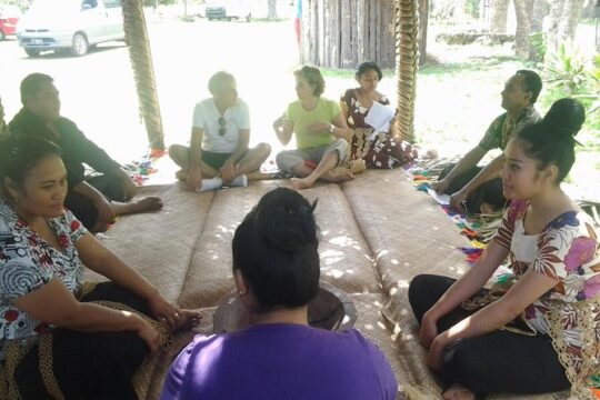 Shore Excursion: Half-Day Anahulu Cave and Cultural Tour