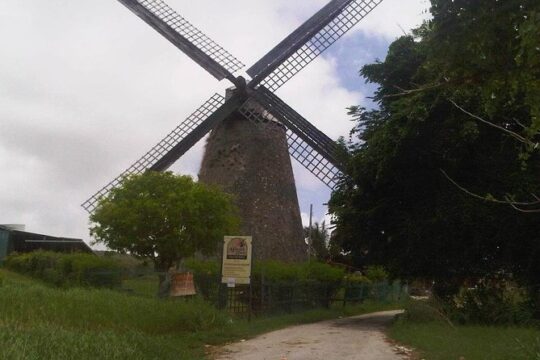 Discover Barbados with Inaja's Transport and Tours