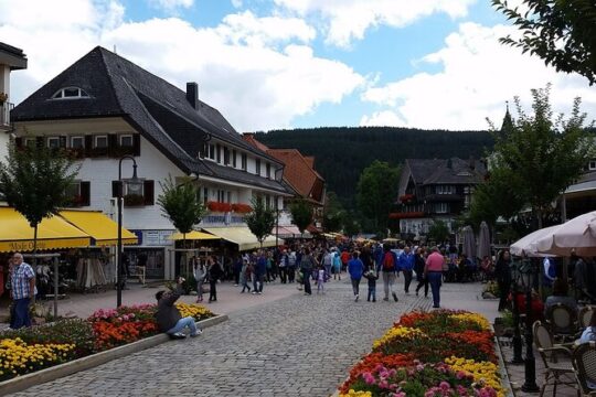 Full-Day Private Tour from Zurich to Lake Titisee Black Forest