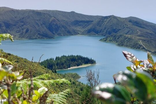 Half Day Lagoa Do Fogo and Gin Library Tour