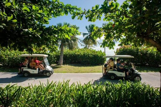 Golf Cart Eco Tour Half Day Tour