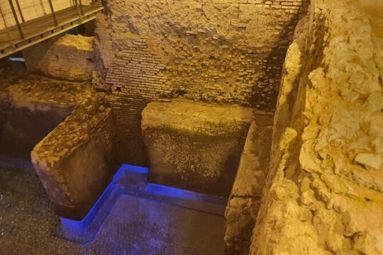 Vicus Caprarius and the Fountains of Rome