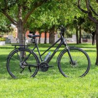Bike Rentals