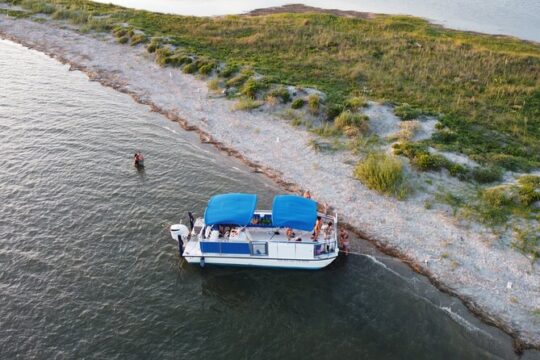 Dolphin Boat Tour from Folly Beach to Morris Island
