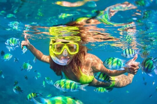 Cozumel Highlights: Mayan Ruins, Reefs, and Beach Escape