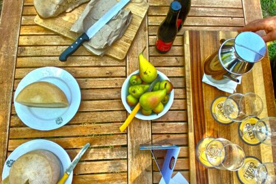 Tropea Craft Beer Experience