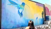 For Art Lovers who yearn to learn