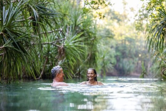Aboriginal Art and Berry Springs Freshwater Swimming