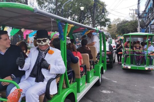 Offerings Tour in San Angel